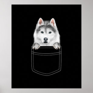 Poster Cachorro Siberiano Husky Em Bolso  Presente Engraç