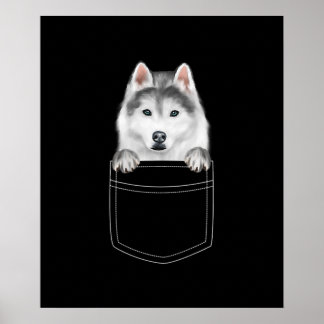 Poster Cachorro Siberiano Husky Em Bolso |Presente Engraç