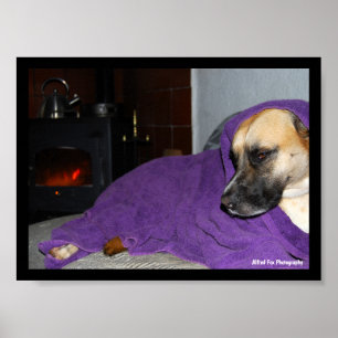 Poster Cachorro Sonolento junto à Lareira