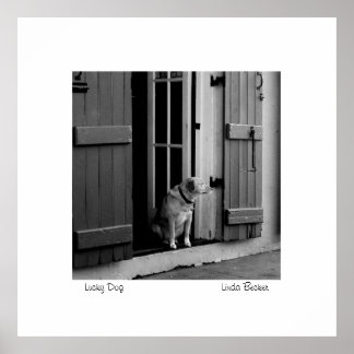 Pôster Cachorro Sortudo por Linda Becker PhotoArt