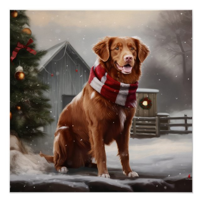 Pôster Cachorro Tolling Retriever da Nova Escócia na Neve (Frente)