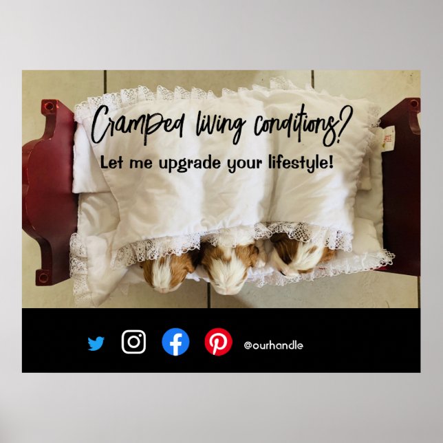 Poster cachorro vivo com cartão postal (Frente)