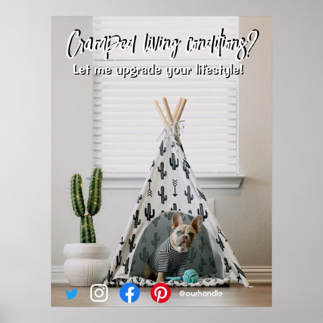 Poster cachorro vivo com cartão postal (Frente)