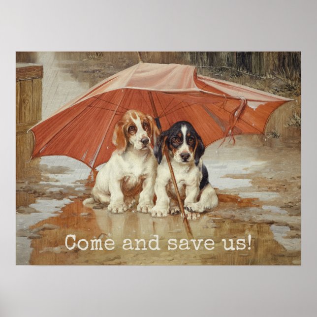 Pôster Cachorros de basset sob o guarda-chuva CC0867 Troo (Frente)