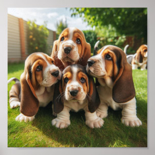 Poster cachorros de cesto de cesto