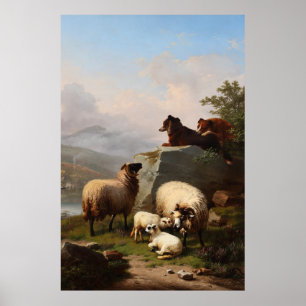 Poster Cachorros de Ovelhas vigiando a ovelha e o rio