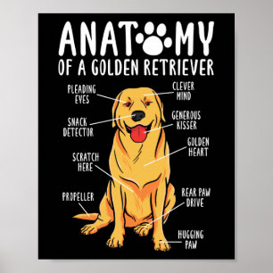 Poster Cachorros do Retriever Anatomia de um Ouro da Mãe