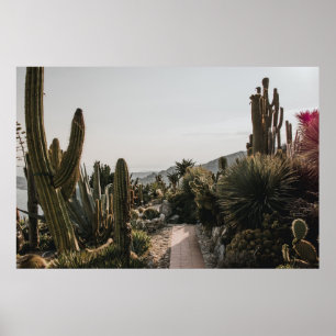 POSTER CACTI HILL