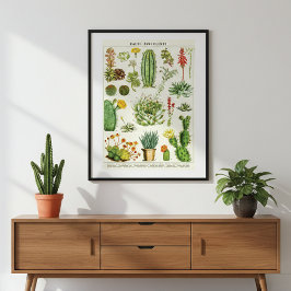 Poster Cacti Succulent Scientific Chart