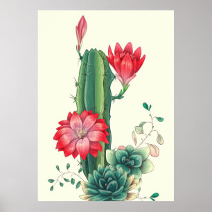 Poster Cacto Com Flores