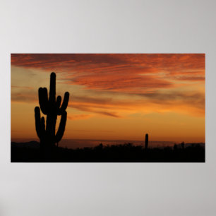 Poster Cacto da arizona de IDKP no por do sol