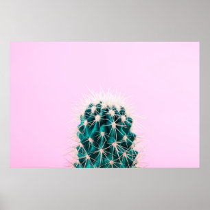 Poster Cacto de Prickley no rosa