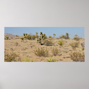 Poster Cacto e plantas do deserto