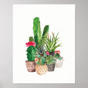 Poster Cacto e Succulents da aguarela