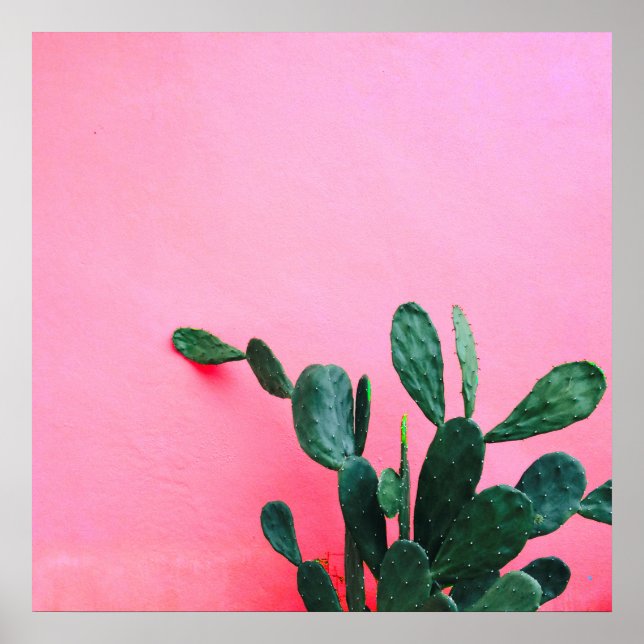 Poster Cacto em Fundo Rosa (Frente)
