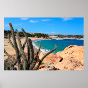 Poster Cacto na cume rochosa sobre o Sandy Beach