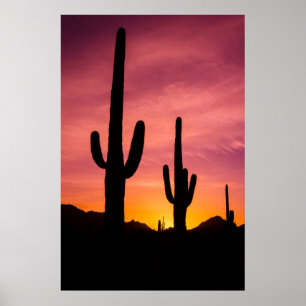 Poster Cacto Saguaro ao nascer do sol, Arizona