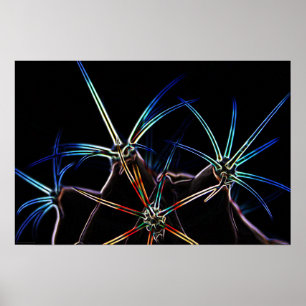 Poster Cactus 1 wapcn