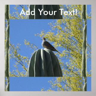 Pôster Cactus Dove