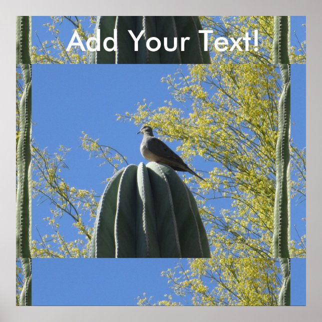 Pôster Cactus Dove (Frente)