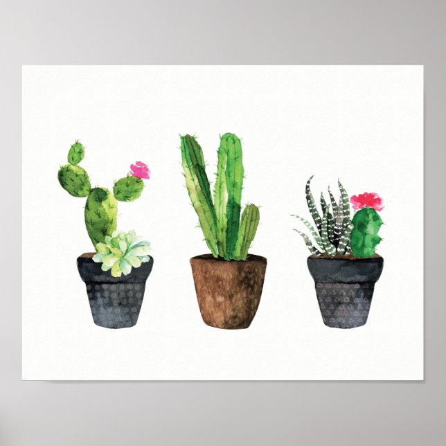 Pôster Cactus e Succulent Trio Dois (Frente)