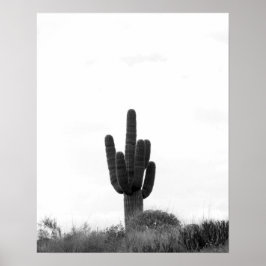 Poster Cactus Saguaro Preto e Branco no Topo da Colina 16