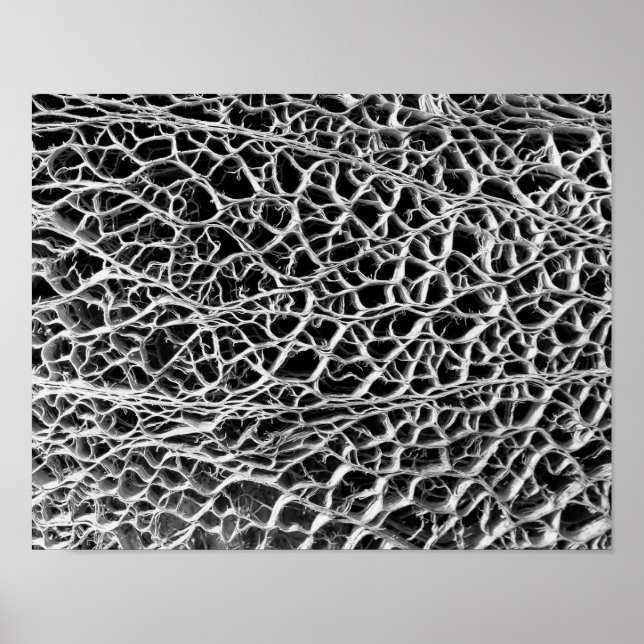 Pôster Cactus Skeleton (Frente)