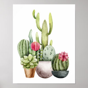 Poster Cactus Succulent Watercolor
