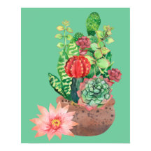 Cactus, Succults, Flor De Cactus, Arranjo