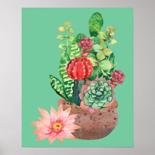 Poster Cactus, Succults, Flor De Cactus, Arranjo (Frente)