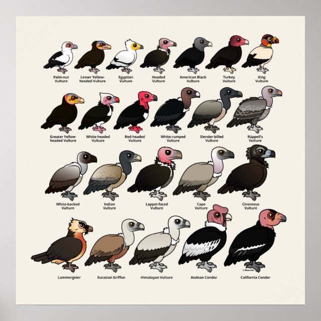 Poster Cada abutre (Frente)