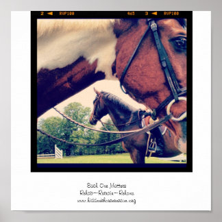 Pôster Cada um importa