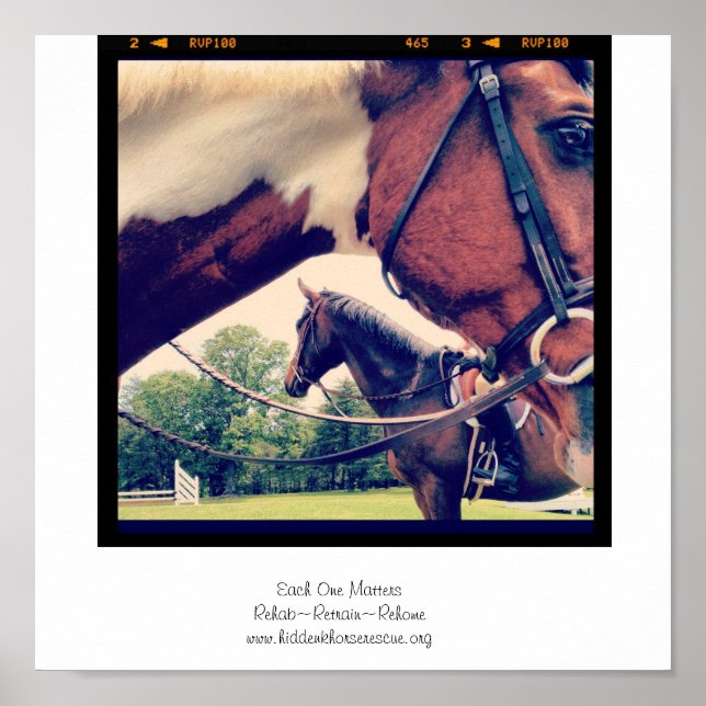 Pôster Cada um importa (Frente)