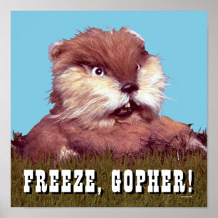 Poster Caddyshack   Congelar, Gopher!