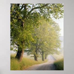 Poster Cades Cove Grandes Montanhas Smokey, TN