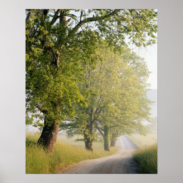 Poster Cades Cove | Montanhas de fumo do Excelente, TN (Frente)