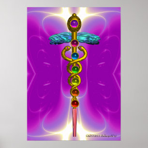 Pôster CÁDUCEO DE OURO 7 CHAKRAS, Ioga, Médico Rosa Fúcsi