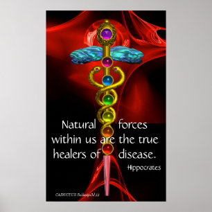 Poster CADUCEUS DOURADO, 7 CHAKRAS, ROSA VERMELHA médica