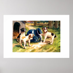Pôster Cães