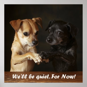 Poster Cães Barulhentos