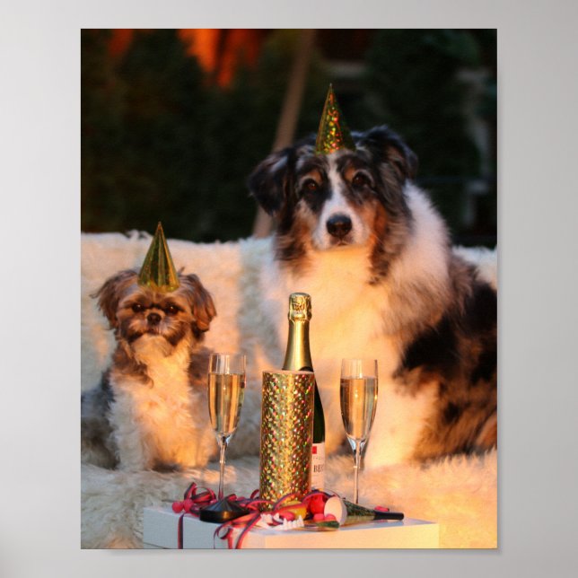 Poster Cães Celebrando Ano Novo (Frente)
