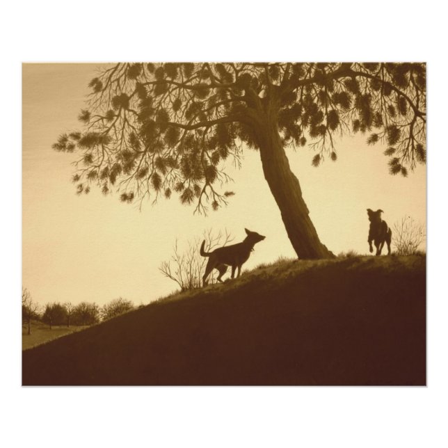 Pôster cães cênicos originais no parque sepia paisagem ar (Frente)