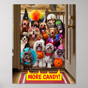 Poster Cães com Truque ou Tratamento