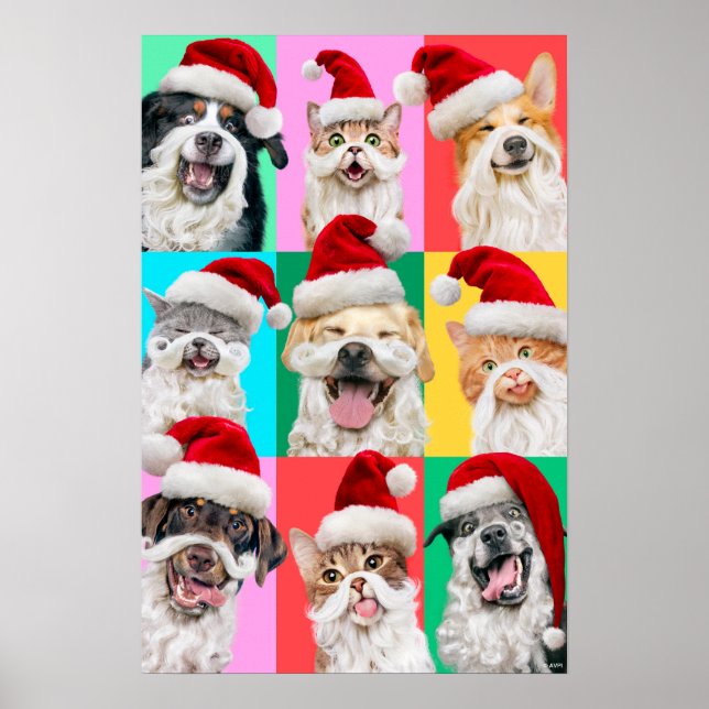 Poster Cães e Gatos com Barba de Papai Noel (Frente)