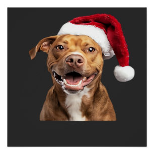 Pôster Cães Felizes no Natal Cães Engraçados Camiseta Clá