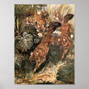 Pôster Cães Selvagens Antigos, Dholes por Winifred Austen