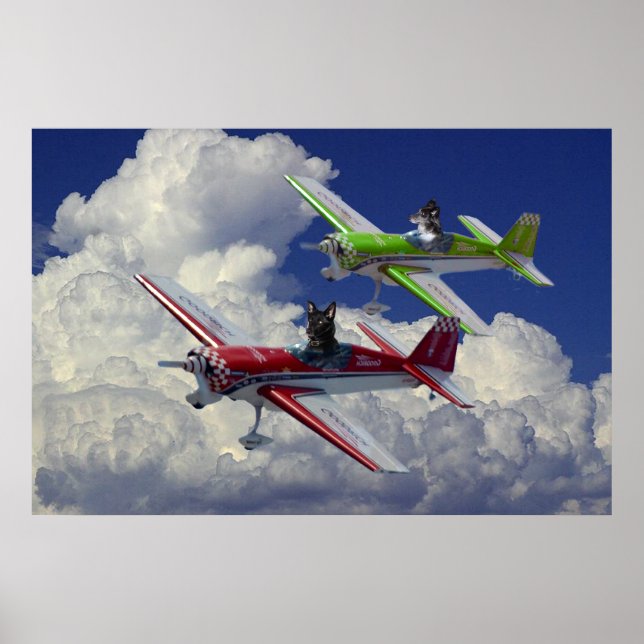 Pôster Cães voadores 3 (Frente)