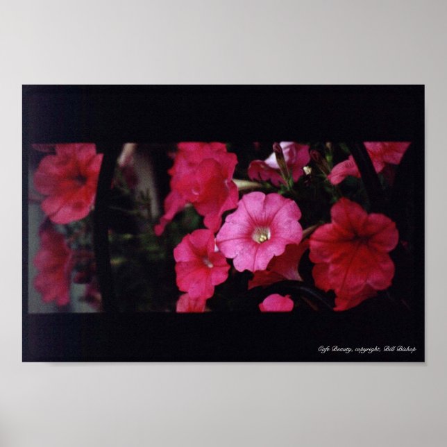 Pôster Cafe Beauty (Frente)