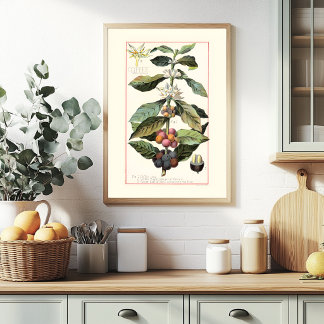 POSTER CAFÉ - ILUSTRAÇÃO BOTÂNICA VINTAGE