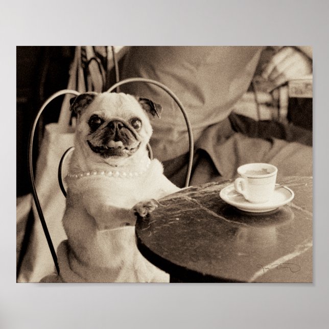 Pôster Cafe Pug (Frente)